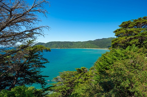 Abel Tasman National Park