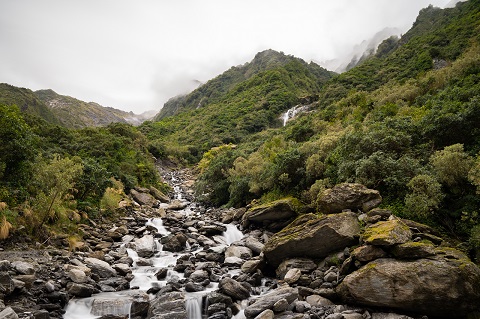 Fox Glacier