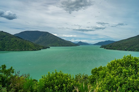 Kenepuru Sound