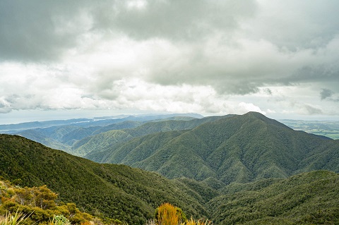 Mt Stevens View