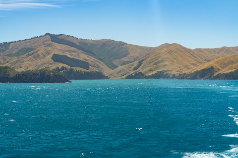 Wellington Harbour